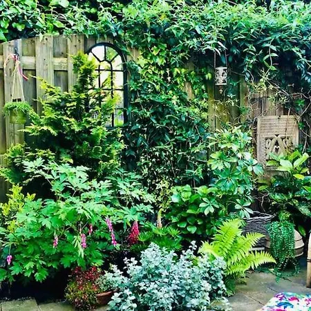 Unique Secret Garden * Alkmaar